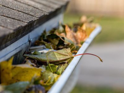 A residential home in the Quad Cities area with gutters clogged with leaves and debris.