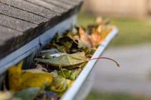 A residential home in the Quad Cities area with gutters clogged with leaves and debris.