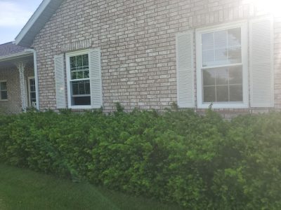 muscatine window installation - exterior bedroom windows, after