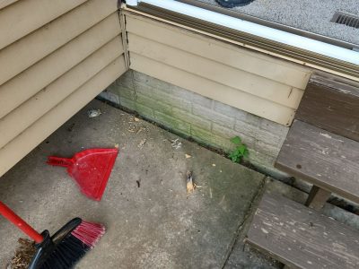davenport patio door replacement - during work exterior installing patio door