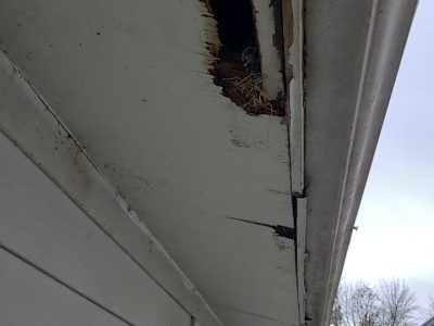 muscatine siding replacement - broken siding near roof, before