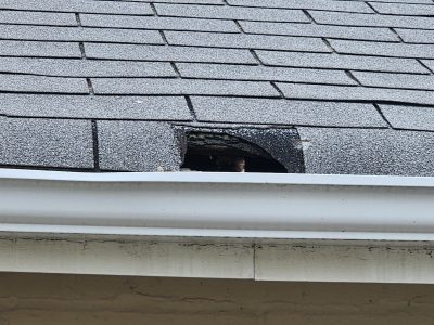 davenport roofing replacement - missing roof shingle, before