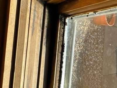 moline window installation - inside top broken corner of bay window, before