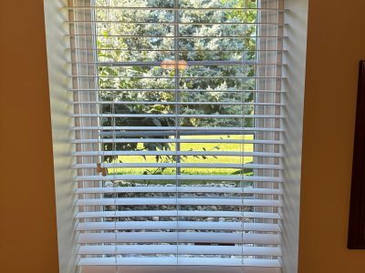 davenport window installation - inside view of long multi-paned window with blinds, before