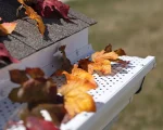 Leaf Exterminator