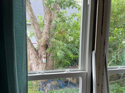 Fulton Window Installation - inside double-hung windows, during