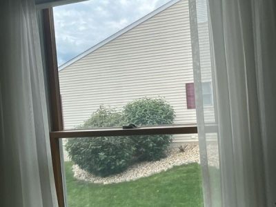 Le Claire Window Replacement - inside double-hung window, before