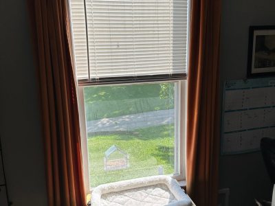 Taylor Ridge Window Replacement - inside cat perch, before