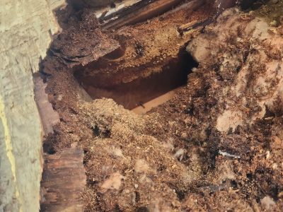 Eldridge Siding Replacement , wood damage during